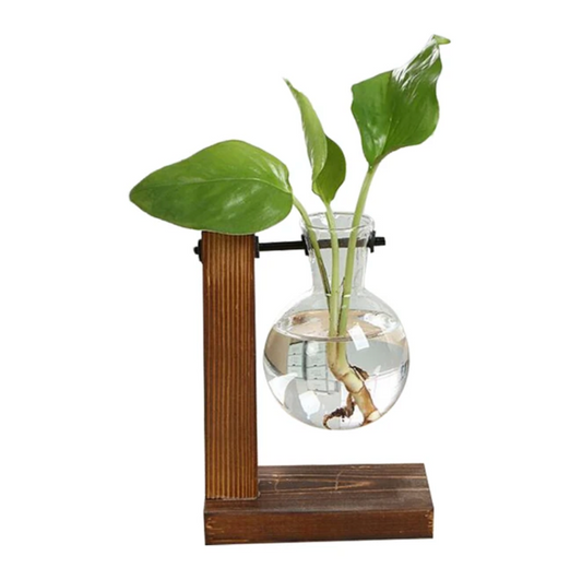 Terrarium Hydroponic Plant Vases Vintage Flower Pot Transparent Vase Wooden Frame Glass Tabletop Plants Home Bonsai Decor