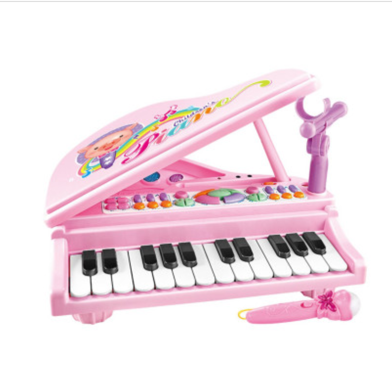 GOMINIMO Kids Piano Keyboard Music Toys (Pink) GO-MAT-106-XC