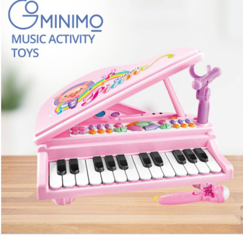 GOMINIMO Kids Piano Keyboard Music Toys (Pink) GO-MAT-106-XC