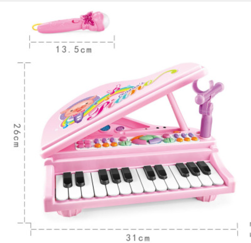 GOMINIMO Kids Piano Keyboard Music Toys (Pink) GO-MAT-106-XC